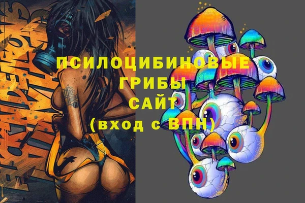 Альфа ПВП Аркадак