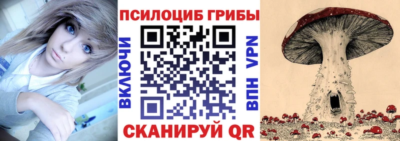 мега зеркало  Сольвычегодск  Галлюциногенные грибы Cubensis  наркота 