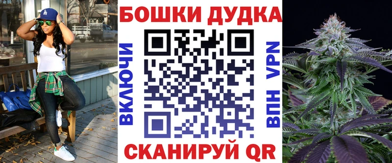 Шишки марихуана Amnesia  купить наркоту  Сольвычегодск 